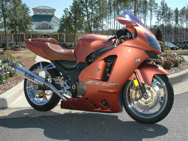 "The Copperhead" 2004 Kawasaki ZX12R Custom